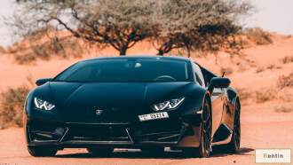 Lamborghini Huracan Black - 2020