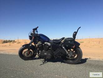 Harley FortyEight