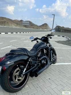 Harley Davidson Night Rod