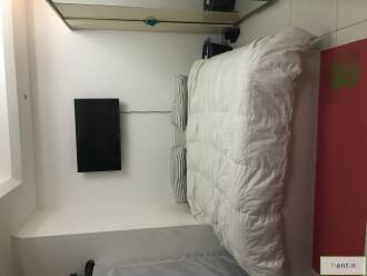 Partition for Couple for Rent