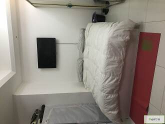 Partition for Couple for Rent