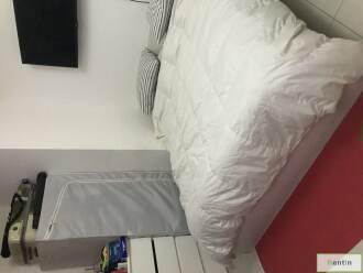 Partition for Couple for Rent