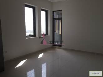 Horse Stable Course view | Amazing Studio Apt