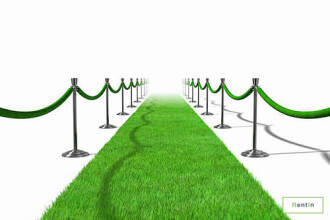 Grass Carpet - #RF082