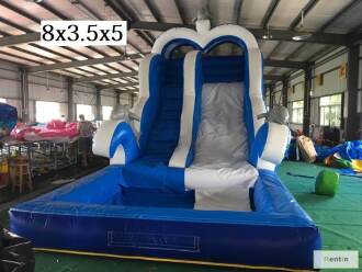 DOLPHIN SLIDE WITH POOL
