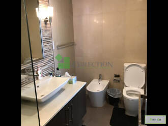 Zabeel view furnished 2 BR apartment in Burj Daman
