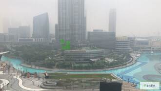 Exquisite1 bedroom for rent in Burj views Downtown