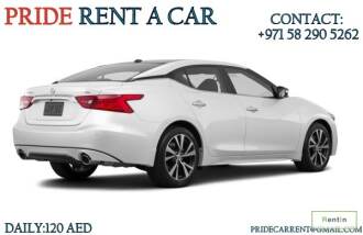 Car Rental