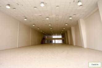 Multiple Shops, and warehouse for rent