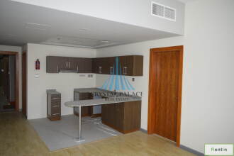 Impressive 1BHK for rent in DSO