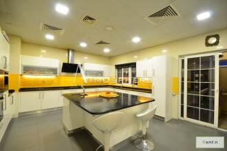 Fully Furnished Mansion for Rent in Polo Homes