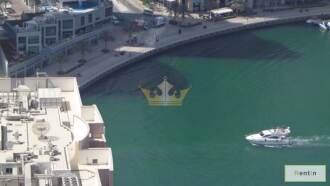 6 cheques, 2Bedrooms, Marina View, No Chiller Charges
