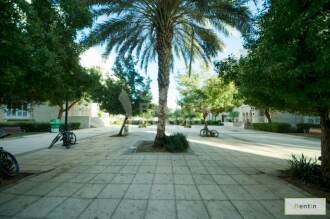 Large and Furnished Studio Apt,Pool View