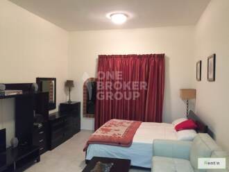 Large and Furnished Studio Apt,Pool View