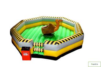 Camel cooperate game rental