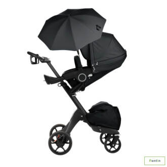 Rent Stokke Xplory V5 in Dubai
