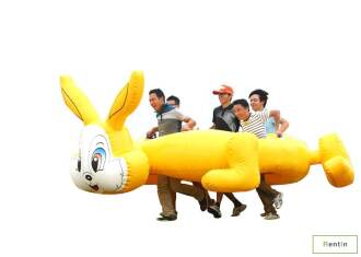 Rabbit Race