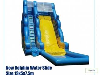  New Dolphin Water slide
